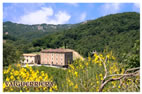 Foto Agriturismo