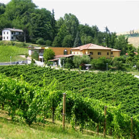Foto Agriturismo Borgo delle Vigne - Az. Gaggioli