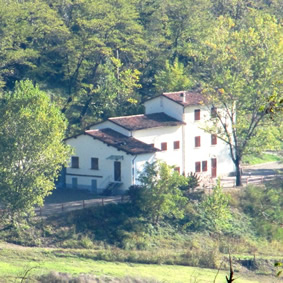 Foto Podere Riosto SS Societ Agricola