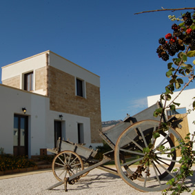 Foto Azienda Agricola DAl Enrico