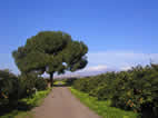 Foto Agriturismo
