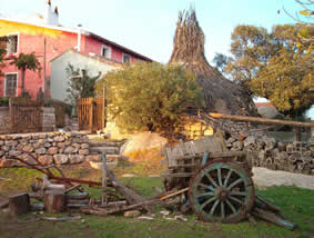 Foto Agriturismo Costiolu