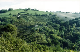 Foto Agriturismo