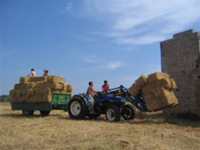 Foto Masseria Sant'Angelo